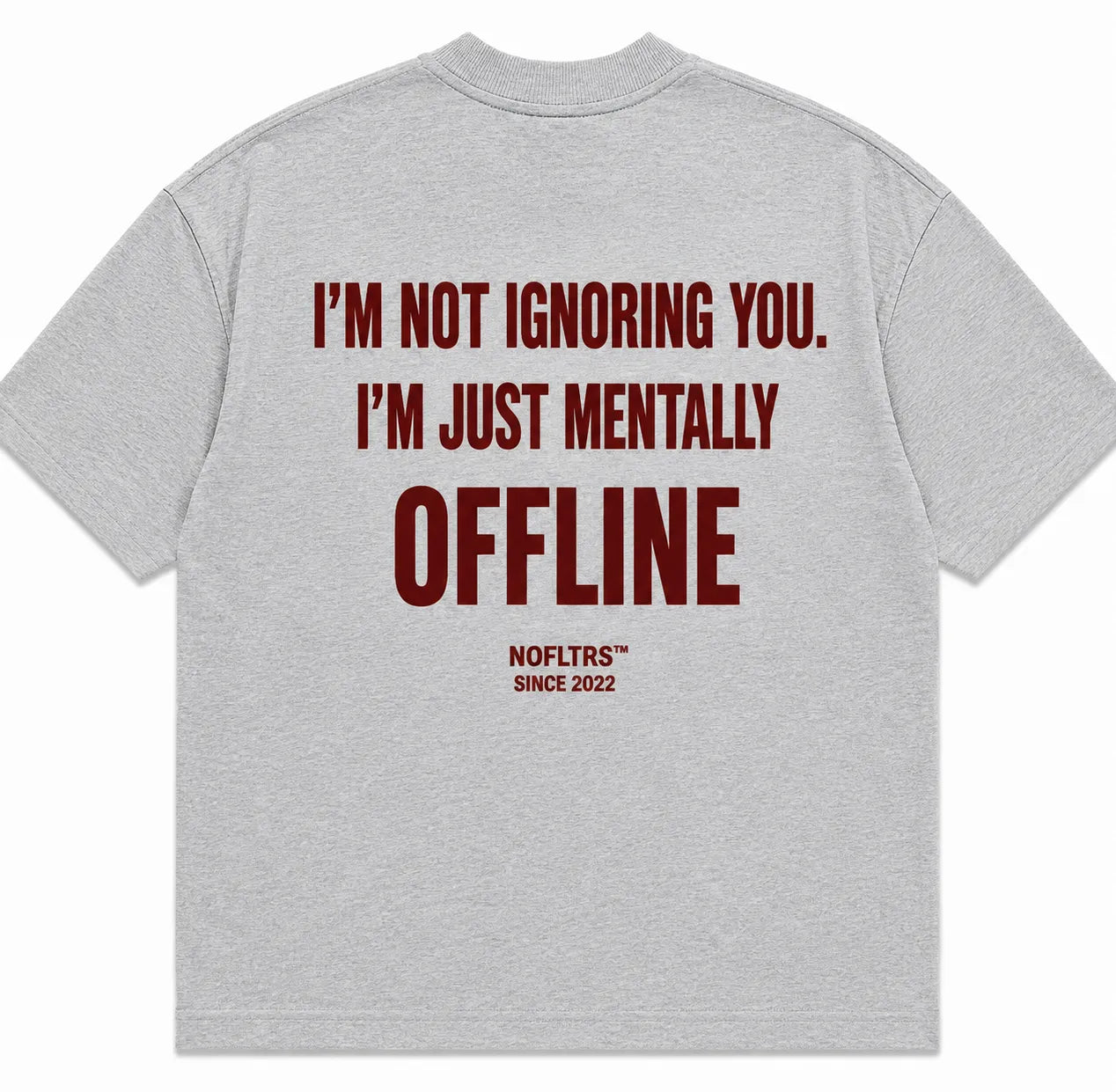 I'M NOT IGNORING YOU. I'M JUST MENTALLY OFFLINE