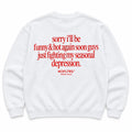 SORRY I'LL BE FUNNY & HOT AGAIN SOON GUYS JUST FIGHTING MY SEASONAL DEPRESSION SWEATSHIRT