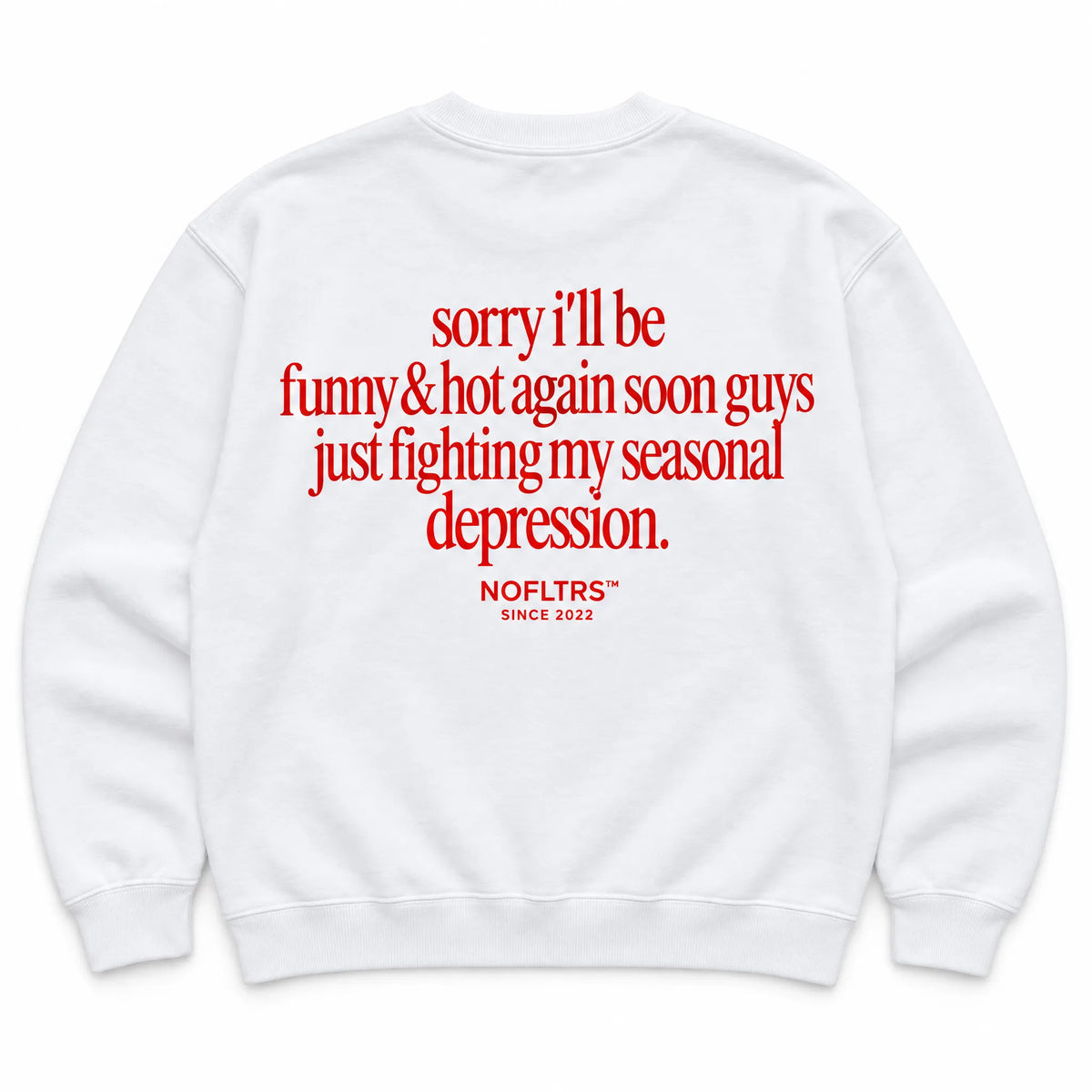 SORRY I'LL BE FUNNY & HOT AGAIN SOON GUYS JUST FIGHTING MY SEASONAL DEPRESSION SWEATSHIRT