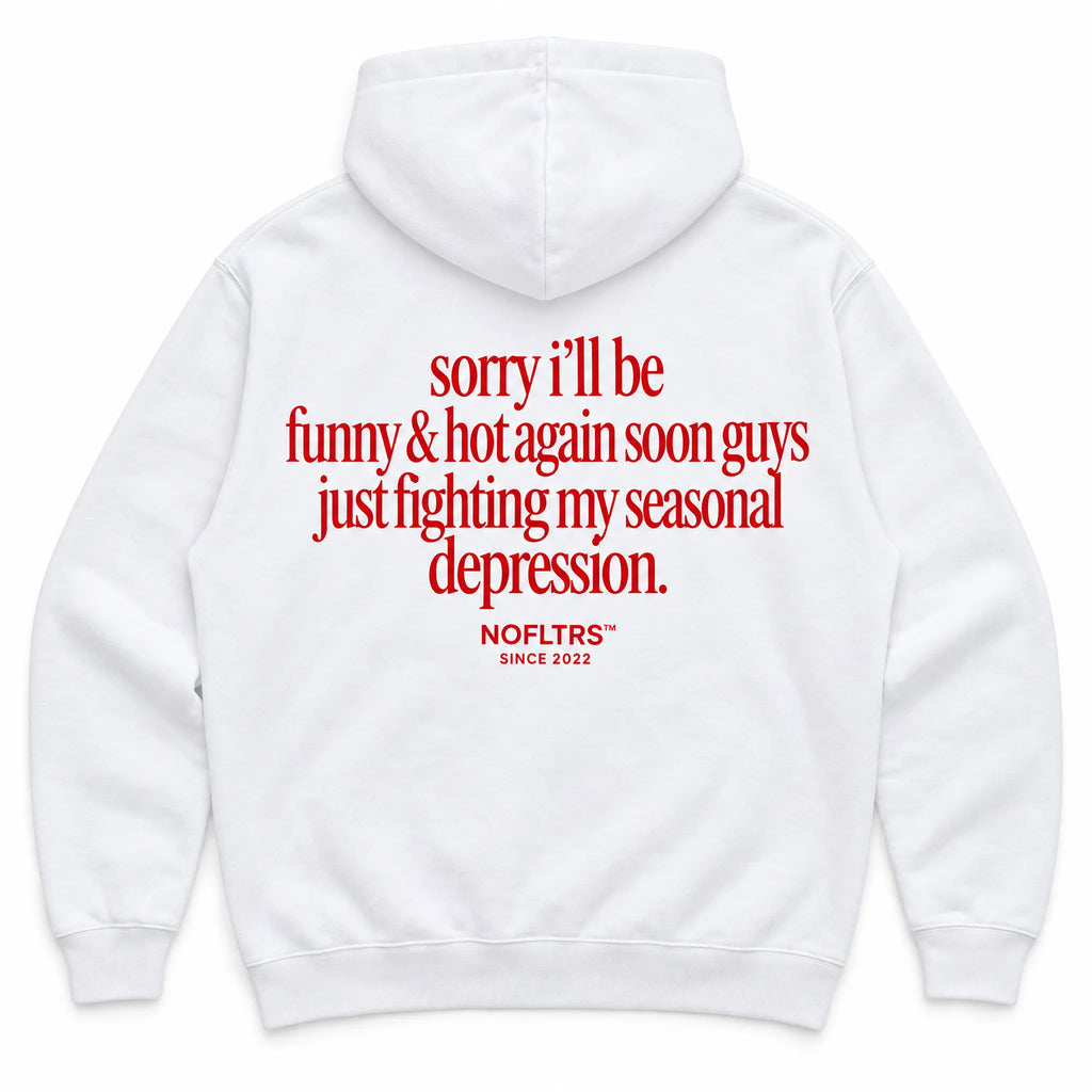 SORRY I'LL BE FUNNY & HOT AGAIN SOON GUYS JUST FIGHTING MY SEASONAL DEPRESSION HOODIE