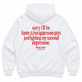 SORRY I'LL BE FUNNY & HOT AGAIN SOON GUYS JUST FIGHTING MY SEASONAL DEPRESSION HOODIE