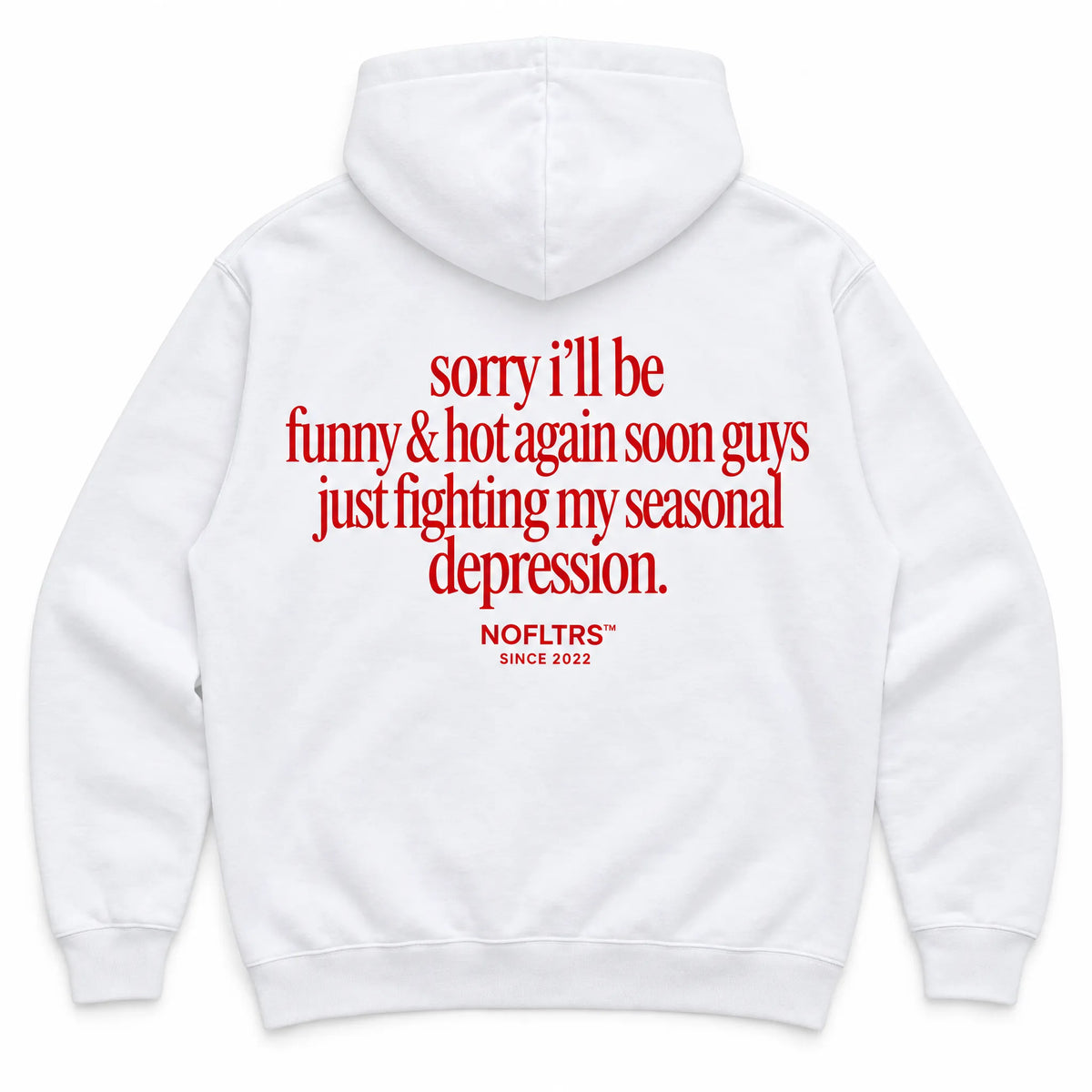 SORRY I'LL BE FUNNY & HOT AGAIN SOON GUYS JUST FIGHTING MY SEASONAL DEPRESSION HOODIE