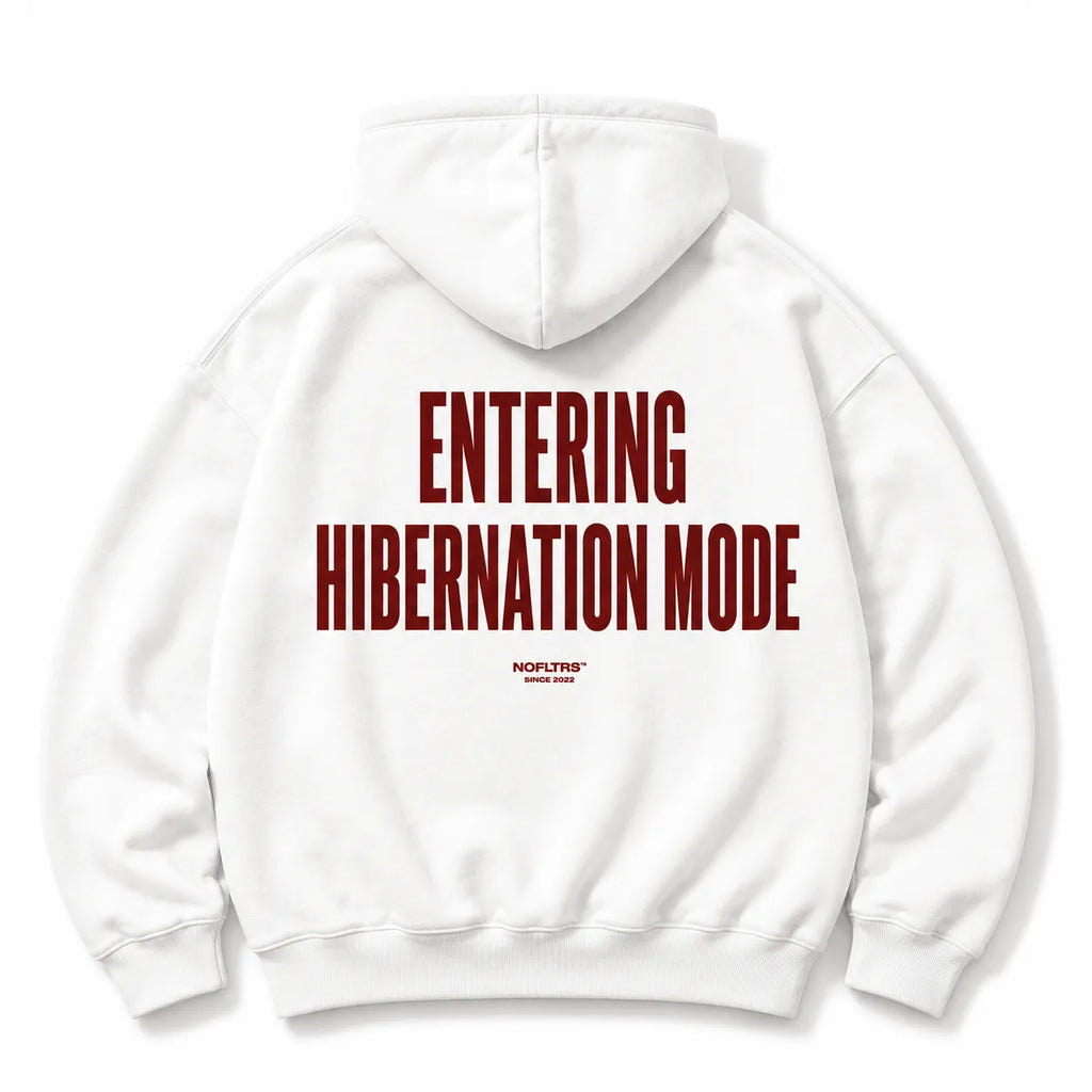 ENTERING HIBERNATION MODE HOODIE