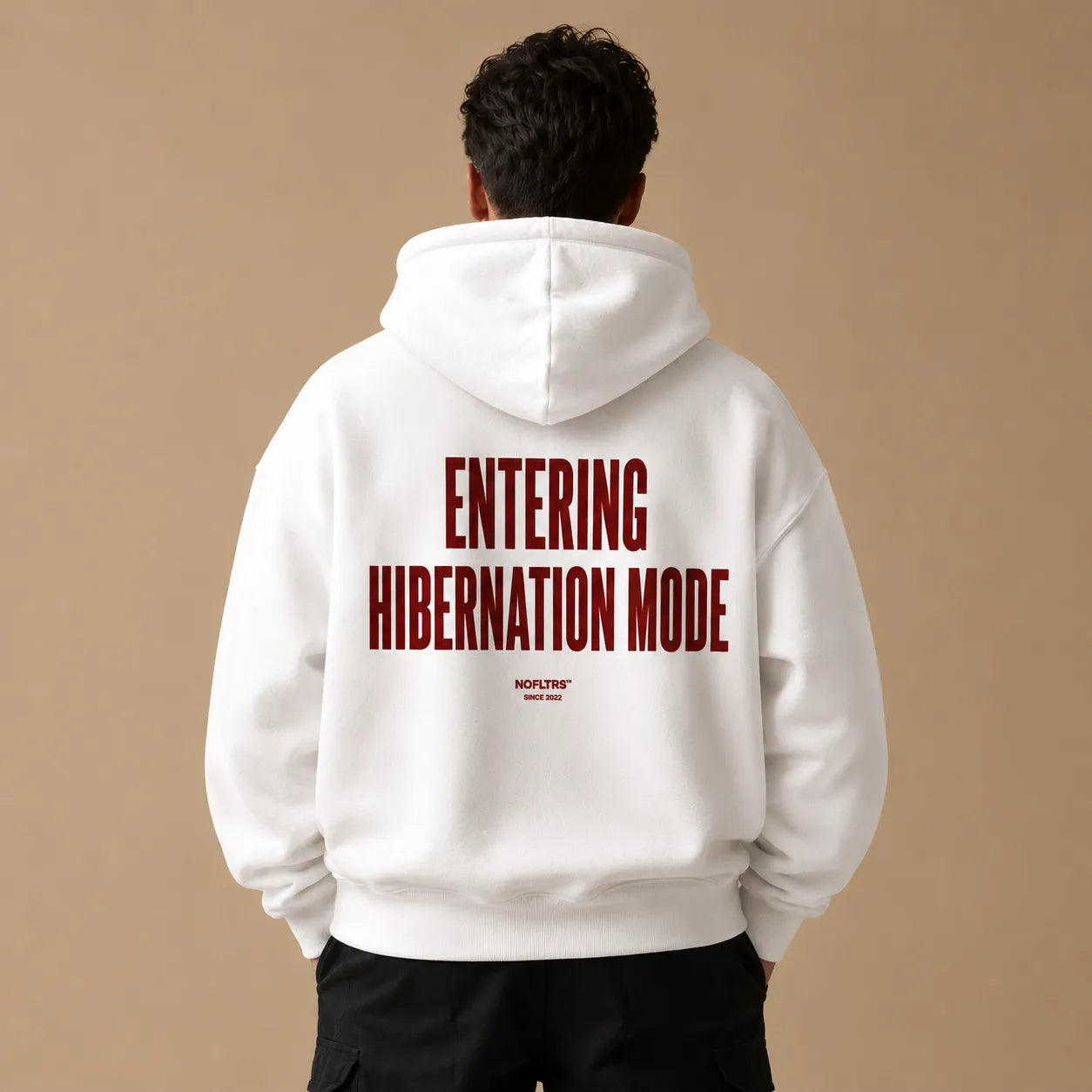 ENTERING HIBERNATION MODE HOODIE