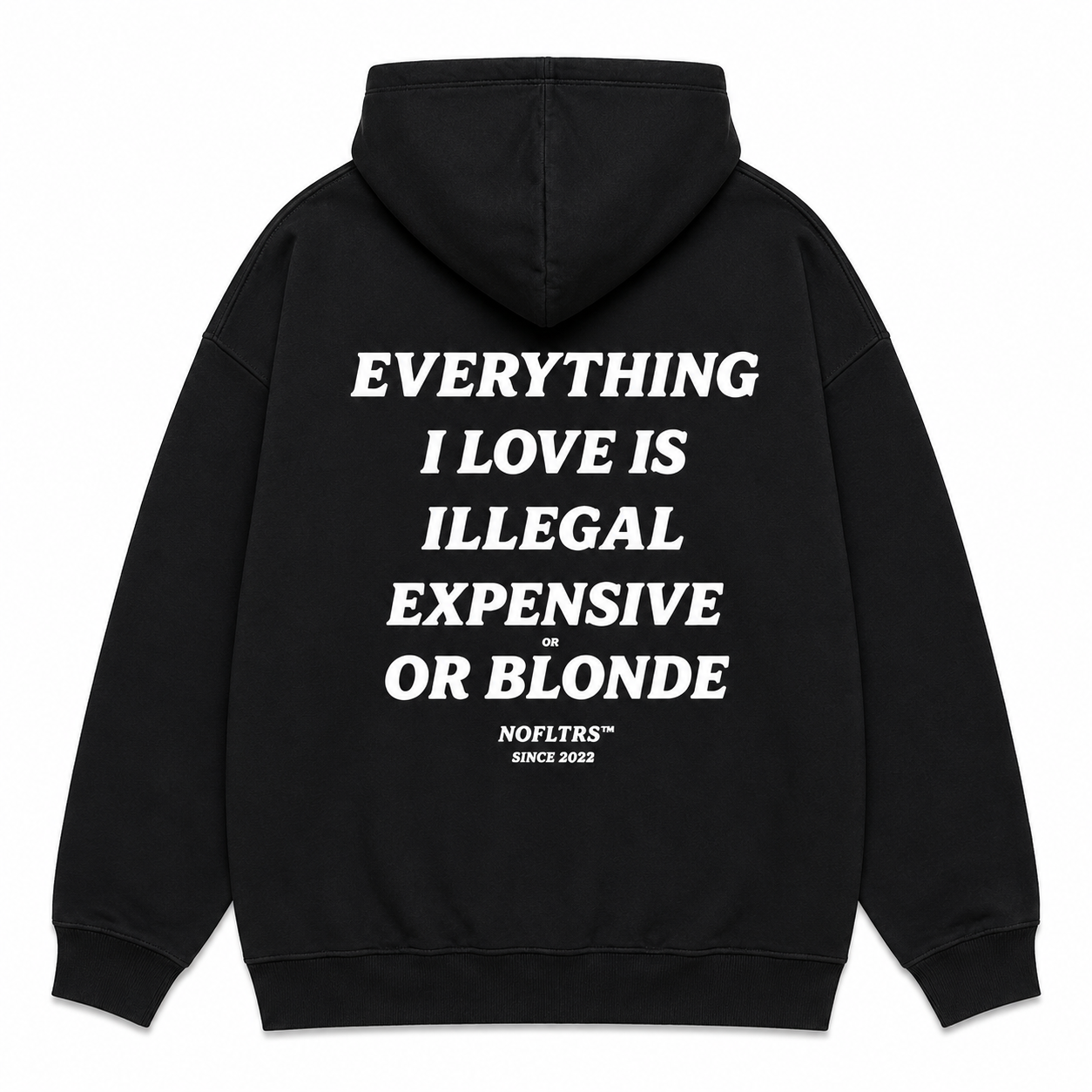 EVERYTHING I LOVE IS ILLEGAL EXPENSIVE OR BLONDE Hoodie