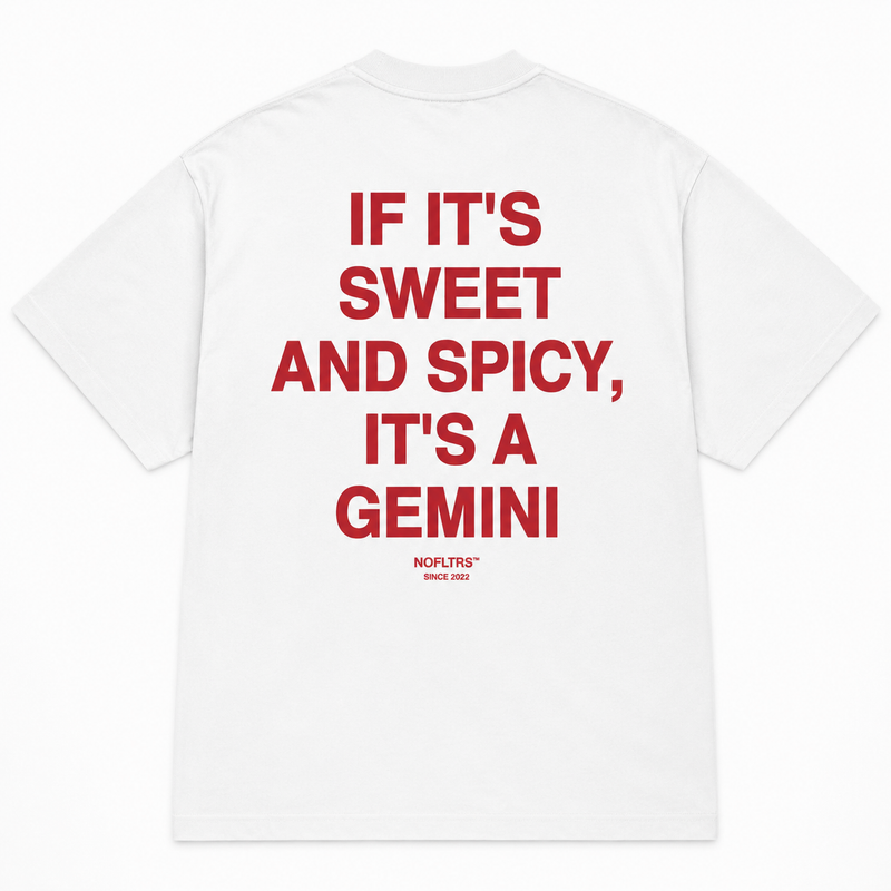 If It's Sweet And Spicy It's A Gemini going out shirt men NOFLTRS