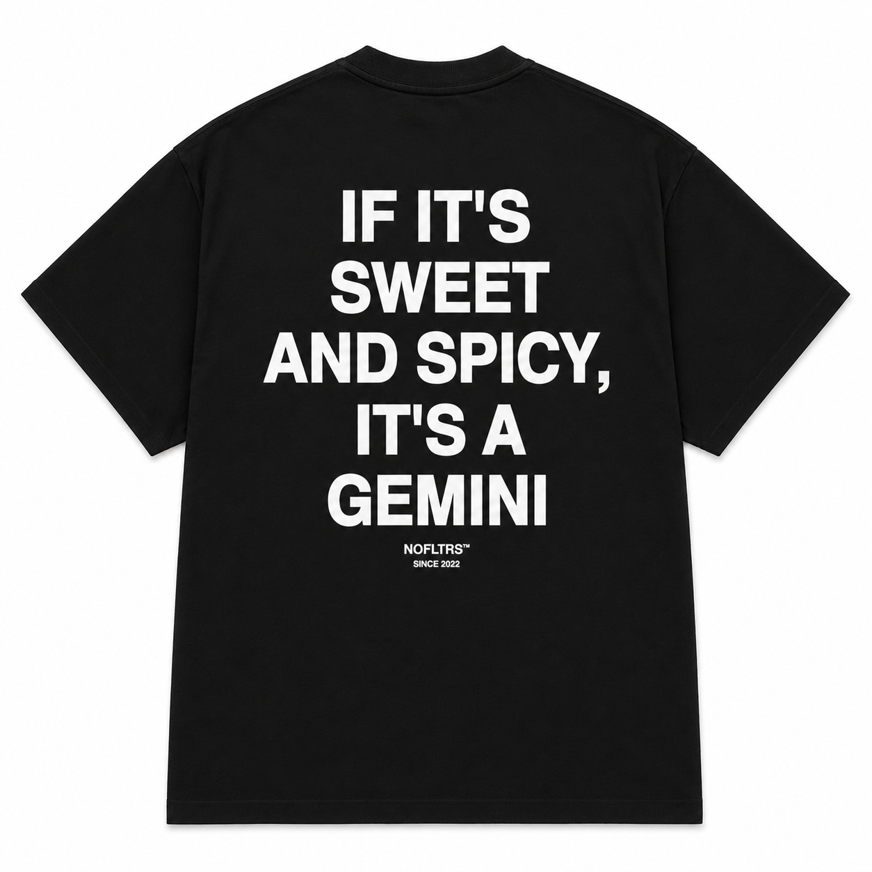 IF IT'S SWEET AND SPICY, IT'S A GEMINI T-Shirt – Nofltrs