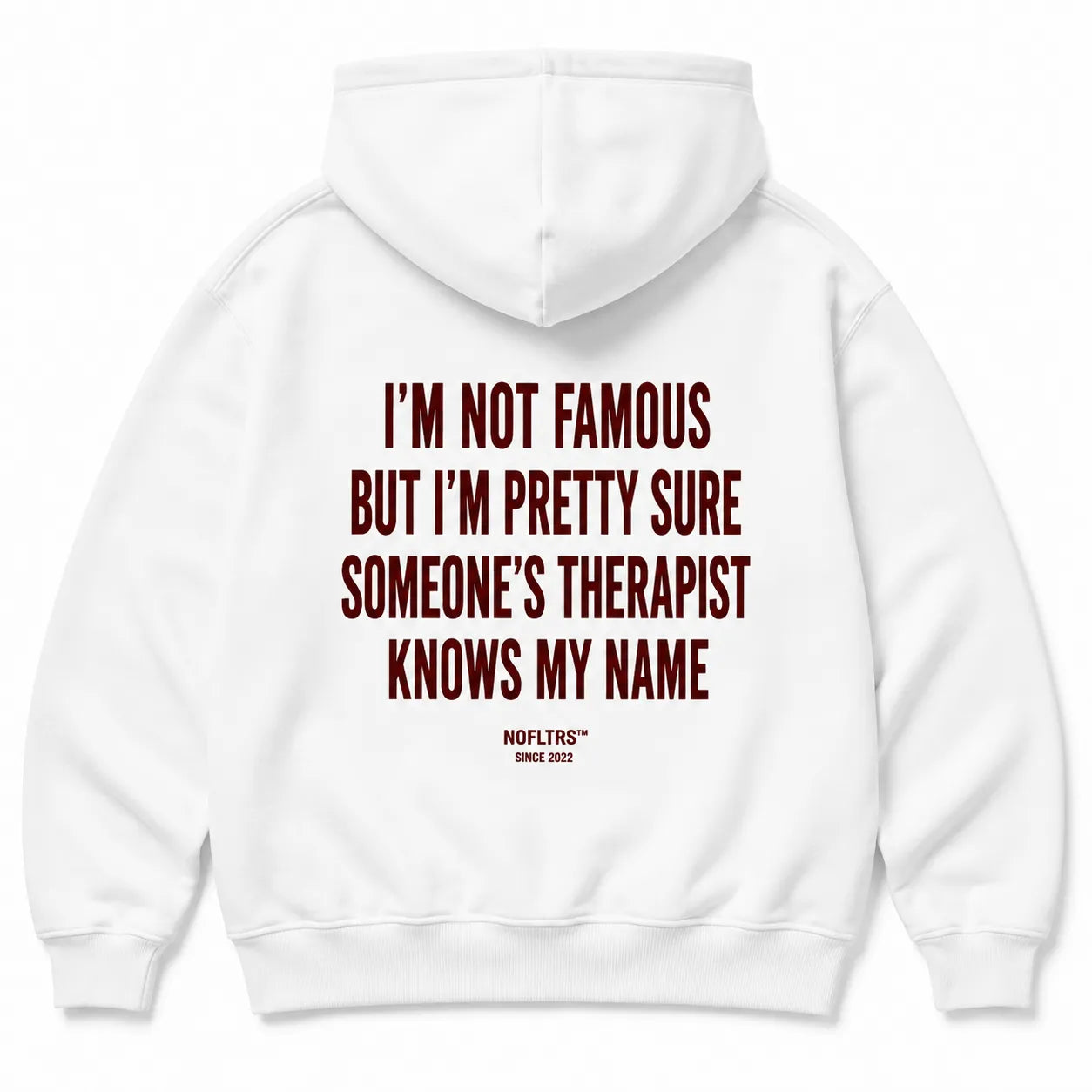 I'M NOT FAMOUS BUT I'M PRETTY SURE SOMEONE'S THERAPIST KNOWS MY NAME HOODIE