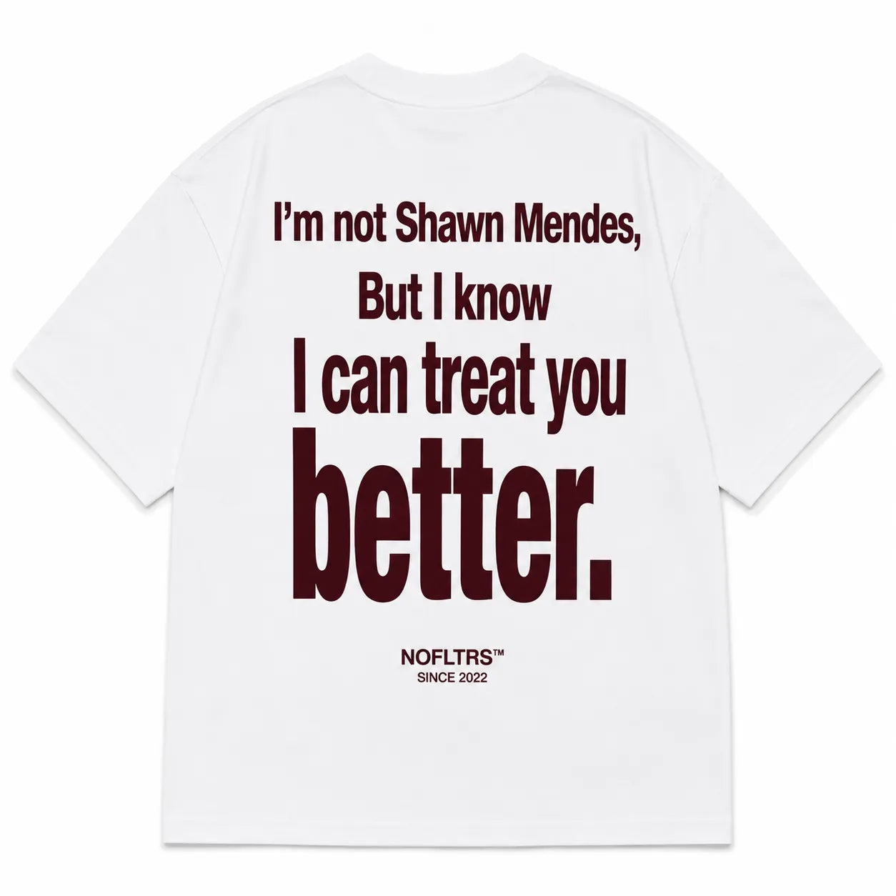 I'M NOT SHAWN MENDES, BUT I KNOW I CAN TREAT YOU BETTER