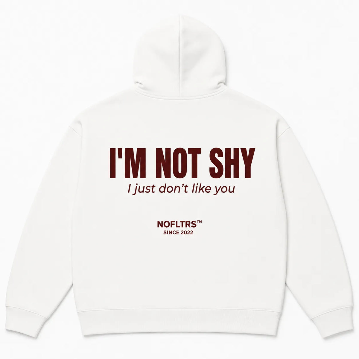 I'M NOT SHY I JUST DON'T LIKE YOU Hoodie