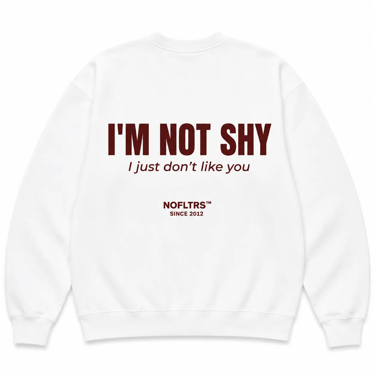 I'M NOT SHY I JUST DON'T LIKE YOU SWEATSHIRT