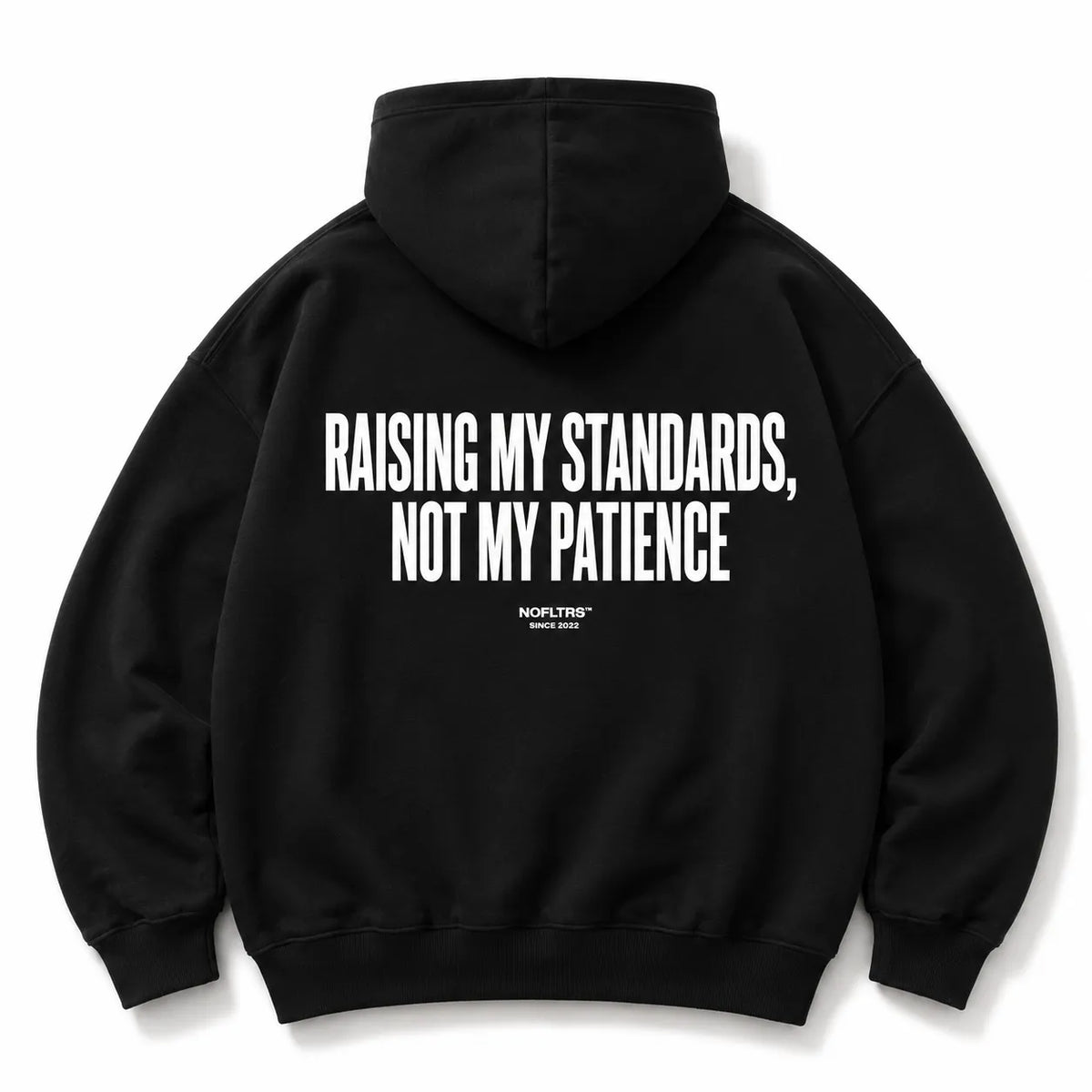 RAISING MY STANDARDS NOT MY PATIENCE HOODIE