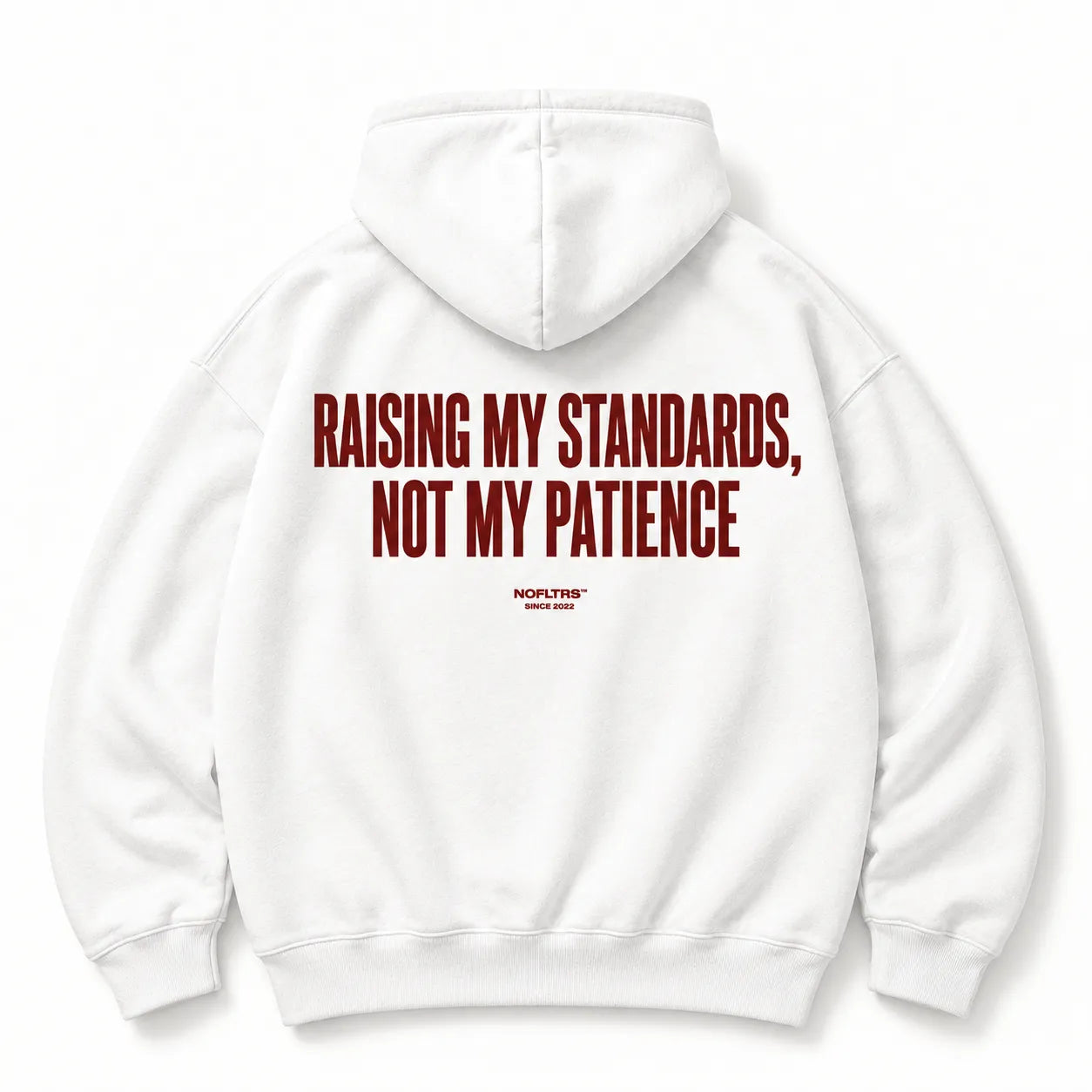 RAISING MY STANDARDS NOT MY PATIENCE HOODIE
