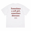 SOMETIMES A SOFT GIRL, SOMETIMES DINOSAUR