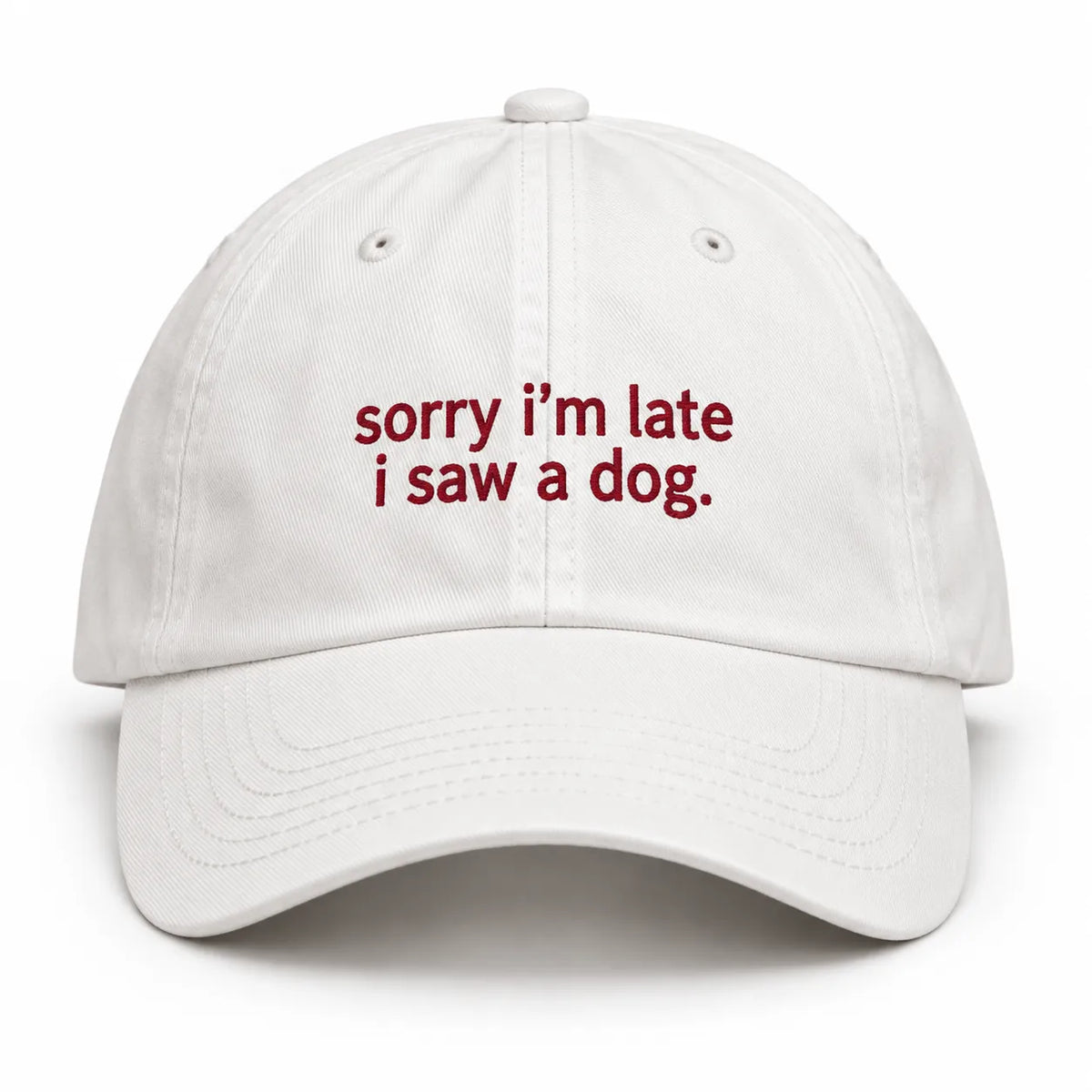SORRY I'M LATE I SAW A DOG Cap