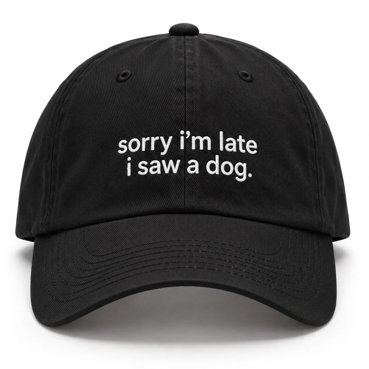 SORRY I'M LATE I SAW A DOG Cap