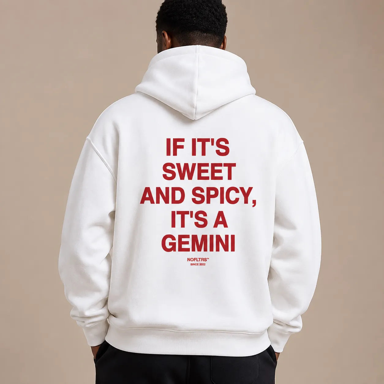 IF IT'S SWEET AND SPICY, IT'S A GEMINI Hoodie