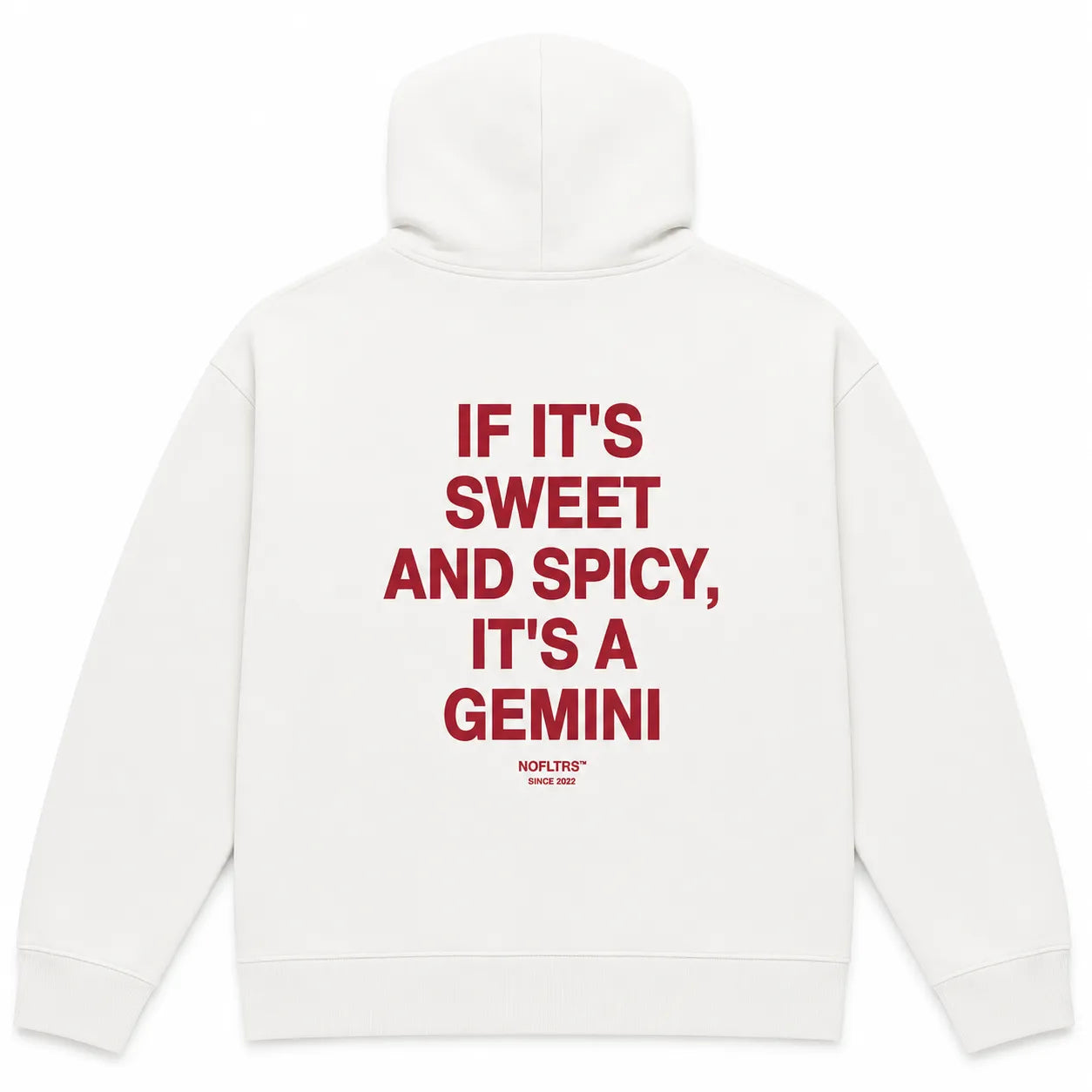 IF IT'S SWEET AND SPICY, IT'S A GEMINI Hoodie