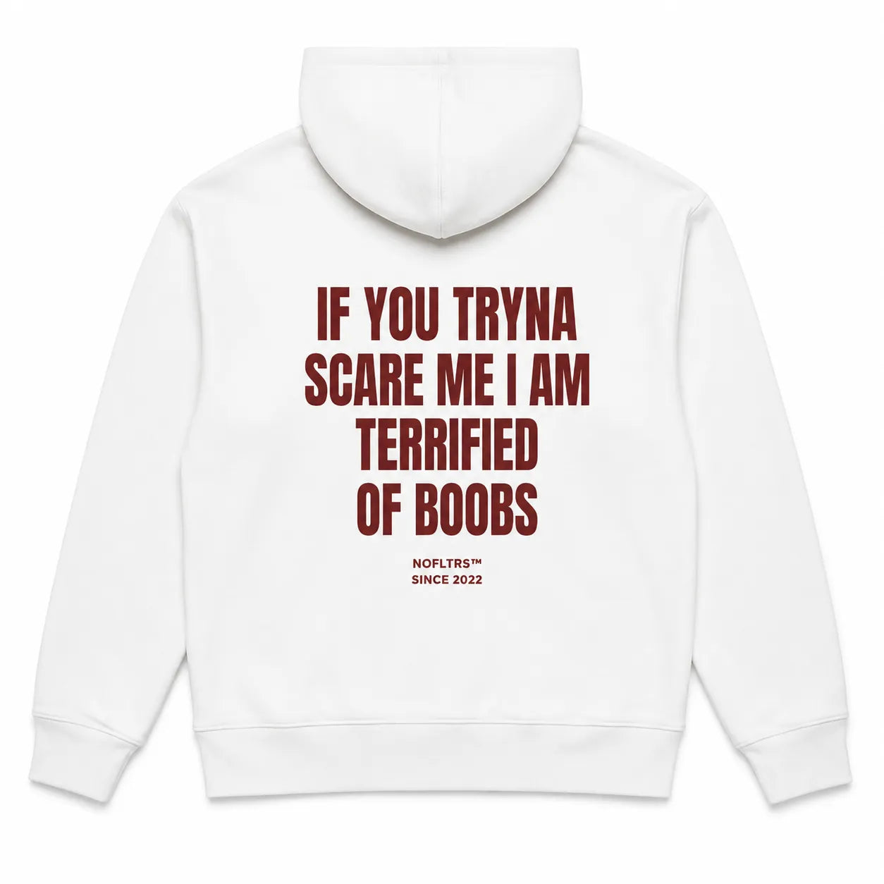 IF YOU TRYNA SCARE ME I AM TERRIFIED OF BOOBS Hoodie