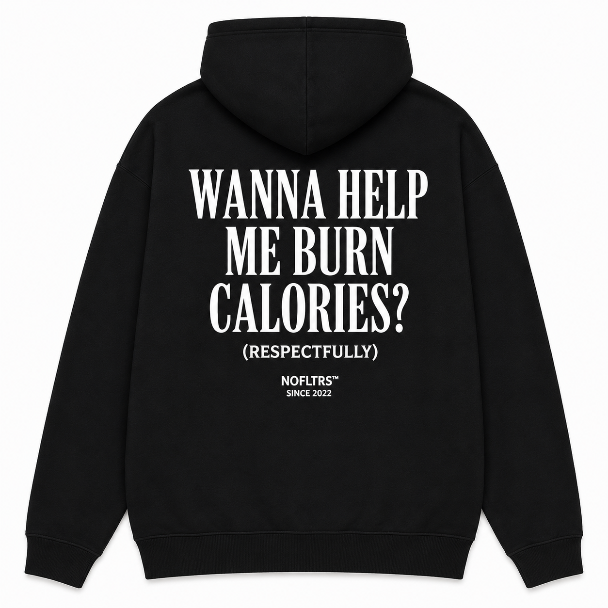 WANNA HELP ME BURN CALORIES? (RESPECTFULLY) Hoodie
